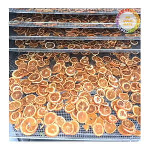 Rodajas de Naranja Liofilizadas Naturales de Alta Calidad, Sabor Adictivomente Dulce, Té a Granel, 500G/BOLSA - Product Image 5