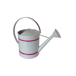 Arrosoir décoratif à long bec pour l'entretien des plantes et l'aménagement du jardin domestique - Product Image 3