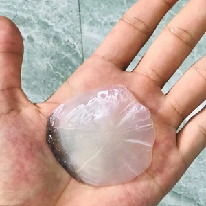 Tendance 2026 : Écailles de poisson, ingrédient naturel pour l'industrie cosmétique - Product Image 1