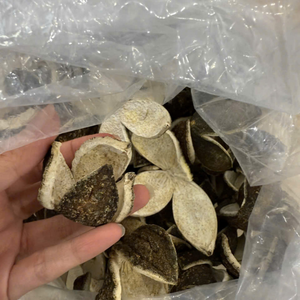 Cáscara de Naranja Natural de Vietnam para un Delicioso Té Herbal y como Ingrediente Aromático para Panadería, Suministro de 99 Gold Data Firm - Product Image 2