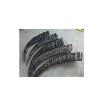 ธรรมชาติ