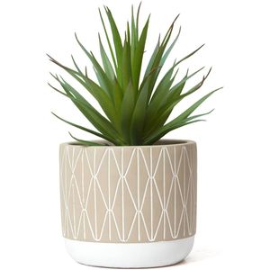 Succulenta Artificiale Realistica da 20 cm in Vaso Stile Rustico per Decorazione Casa, Ufficio e Mensole - Pianta Verde per Casa e Ufficio - Product Image 1