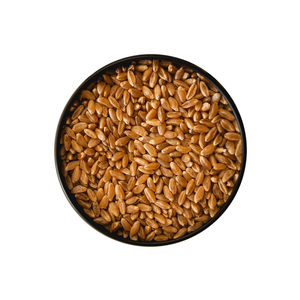 Vente en gros de blé dur de première qualité, qualité alimentaire, approvisionnement en vrac, prêt à l'exportation - Product Image 6