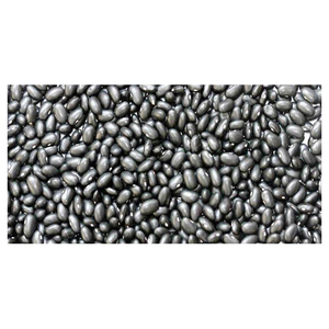 Fournisseur en gros de haricots noirs biologiques naturels, exportateur en vrac, haricots de qualité supérieure pour les marchés mondiaux - Product Image 4