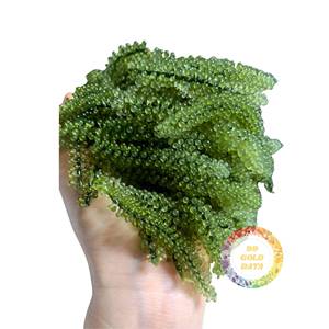 Factory Direct Jackfruit Chips Extra Crunchy Texture Long Shelf Life for Australia Retail Market Cheap Wholesale Price Export - Product Image 2