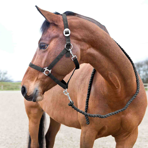 Cuerda de Amarre para Caballos de Primera Calidad, Trenzada en Algodón Resistente con Clip Metálico Sólido, Agarre Cómodo para Entrenamiento, Cuidado, Viajes y Uso en Establos - Product Image 4