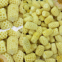 Vietnam IQF Diepvries Ananas Queen/Cayenne 10kg KMI Merk, 100% Vers Fruit, -18°C ° C, Groothandelsexport