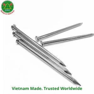 3.7 Inch Carbon Steel Bright <b>Iron</b> <b>Nail</b> Smooth Galvanized Common <b>Nail</b> for Wood Building from Vietnam | clavo de uso gen - Product Image 6