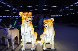 Праздничный большой фонарь в виде животного — мультяшный леопард для декораций в зоопарке, парке и на рождественской вечеринке в саду - Product Image 3