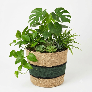Pot de fleurs rond rayé tissé à la main, écologique, pour plantes succulentes et autres plantes, décoration de jardin intérieur et extérieur - Product Image 2