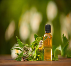 Huile Essentielle de Menthe Poivrée Biologique de Qualité Thérapeutique 1kg, Huile Pure de Mentha Arvensis Issue de Graines Brutes pour Cheveux, Peau et Diffuseur - Product Image 2