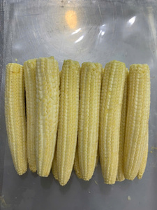 Maíz Bebé Entero Congelado IQF al Vapor, Empaque a Granel, Vegetales Congelados - Product Image 1