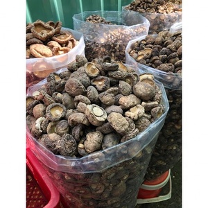 Hongos Shiitake secos enteros para sopa OEM Embalaje a granel Cultivado Seco Xianggu Shiitake Seta Comida vegetariana - Product Image 3