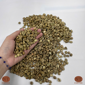 Venta al por mayor de granos de café verde Robusta de Vietnam, calibre 18, alto en cafeína, café crudo, carga a granel en contenedor, suministro para exportación - Product Image 1