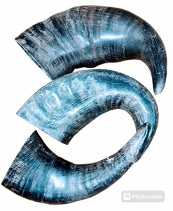 Jouet à mâcher pour chien en corne de buffle naturelle, fait main, écologique, friandise pour animaux de compagnie avec motif nautique sculpté - Product Image 1