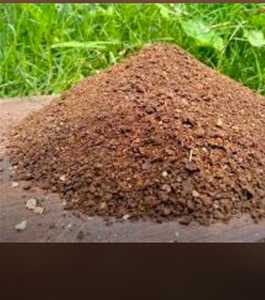 Bloc de tourbe de coco biologique, substrat de terre de coco naturel, biodégradable, léger, respectueux de l'environnement pour la plantation en jardin - Product Image 3