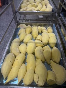 DURIAN CONGELADO IQF de Vietnam, Durian Fresco Congelado Premium al por Mayor - Product Image 5