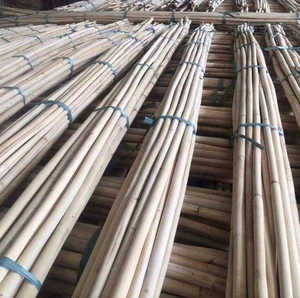 ไม้หวายธรรมชาติขายดี วัสดุงานฝีมือคุณภาพพรีเมียม สำหรับทำเฟอร์นิเจอร์ ตะกร้า และงานสาน - Product Image 2