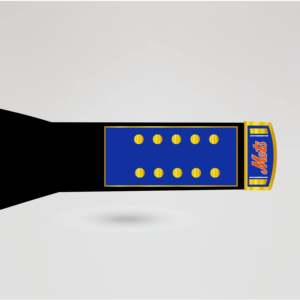 Cinturón de Campeonato de Lucha Libre de los New York Mets, Correa Negra, Metal Azul y Dorado, Cuatro Placas Laterales, Personalizable, Equipo Deportivo - Product Image 6