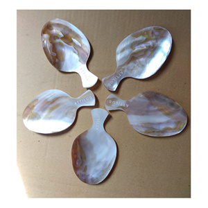 Cucharas Elegantes de Nácar Vietnamita, Ecológicas, para Cenas Elegantes, Fiestas, Juegos de Regalo de Lujo, Venta al por Mayor, Precios Competitivos - Product Image 1