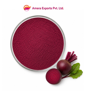 Capsules d'extrait de betterave botanique, fabrication certifiée GMP - Product Image 1