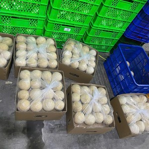มะพร้าวขัดเงาเขตร้อนแบบพรีเมี่ยม | สินค้าจากเวียดนาม | มีฉลากเกาหลีและกล่องขายปลีกจำหน่ายสำหรับผู้นำเข้า - Product Image 6