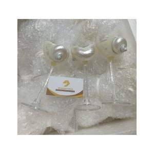 Verres à vin en coquillages, design naturel en coquille de conque, poli, décoration d'intérieur, thème nature - Product Image 1