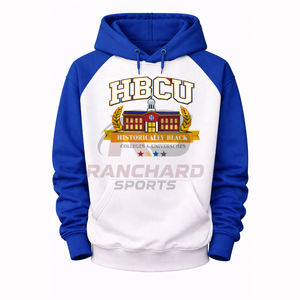 Hoodie personnalisé pour les universités et les collèges HBCU, look stylé, chaud, confortable, durable, professionnel. - Product Image 1