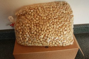 Noix de macadamia biologiques, noix de macadamia séchées - Product Image 6