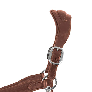 Longe de cheval durable en coton tressé doux avec mousqueton métallique sécurisé pour l'équitation quotidienne, l'entraînement, le toilettage et les soins du cheval - Product Image 4