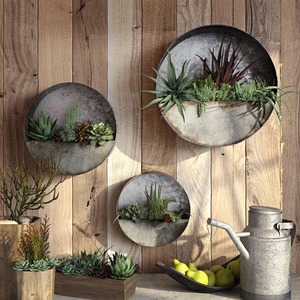 Jardinière murale minimaliste en béton, support circulaire pour plantes succulentes, pot suspendu idéal pour la décoration intérieure et extérieure, provenant d'Inde - Product Image 6