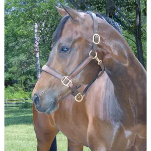 Cabestro de cuero color granate para caballo, suministros ecuestres, conjunto de cuero con arnés de cabeza, accesorios tipo manta para caballo, precio al por mayor - Product Image 1