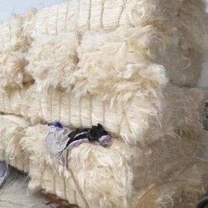 Suministro al por Mayor de Fibra de Sisal Natural Cruda - Product Image 1