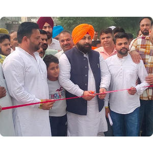 Puente Peatonal de Acero con Estructura de Celosía, Servicios de Doblado, Soldadura y Corte, Grado Q345/Q235 - Product Image 3