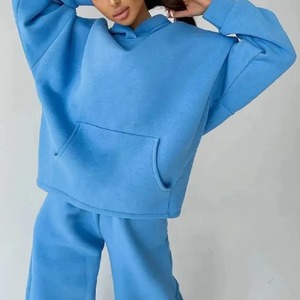 Conjunto Deportivo Informal de Invierno para Mujer, Sudadera con Capucha y Pantalones de Chándal de Algodón, Felpa Ecológica de Secado Rápido, 300g - Product Image 2