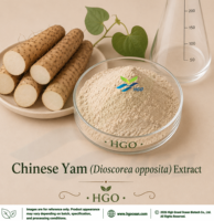 Extrait de Yam chinois naturel (Dioscorea opposita) de qualité alimentaire (approvisionnement direct usine HGO) 4:1 5:1 10:1 20:1 100:1 200:1