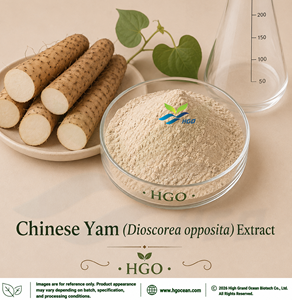 โรงงาน HGO จำหน่ายสารสกัดจากมันเทศจีนธรรมชาติ (Dioscorea opposita) (เกรดอาหารเพื่อสุขภาพ) 4:1 5:1 10:1 20:1 100:1 200:1 โดยตรง - Product Image 1