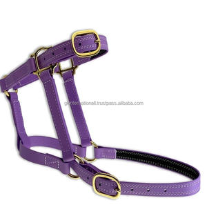 Licol pour cheval en cuir PVC artisanal confortable et élégant, disponible en plusieurs couleurs et tailles personnalisées, avec des accessoires en laiton solides et réglables - Product Image 5