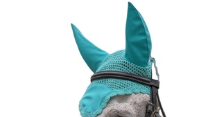 Voile anti-mouches coloré pour chevaux, de haute qualité, avec strass, bonnets d'oreille, produit le plus vendu en gros - Product Image 1