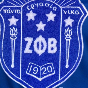 T-shirt en chenille Zeta Phi Beta Blue Shield pour femme, avec écusson brodé de la sororité grecque, décontracté - Product Image 6