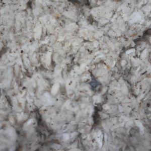 Meilleur prix, bonne qualité, coton en mèches, coton Lickerin, couleur blanche, provenant d'une usine du Vietnam pour la fabrication de fil à coton Florence - Product Image 2