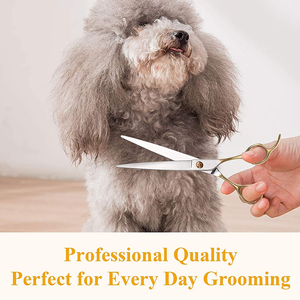 7.5 Inch MARI INSTRUMENTS Pet Grooming <b>Scissors</b> Titanium Handle Golden Stainless Steel Pet Care Tool <b>Dog</b> Grooming <b>Scissors</b> - Product Image 6