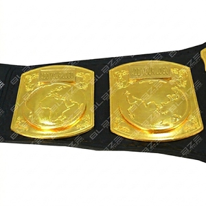 เข็มขัดแชมป์ AEW Continental แบบปรับแต่งได้สำหรับทุกกีฬา เข็มขัดแชมป์สำหรับ Blaze Boxing เข็มขัดแชมป์สำหรับมวยปล้ำ ผลิตตามสั่ง - Product Image 1