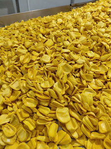 Chips de Jaca Orgánica Seca Frita al Vacío, Crujientes y Naturales, Exportación B2B desde Vietnam - Product Image 5