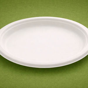 Assiettes jetables classiques en bagasse de canne à sucre biodégradables et compostables, écologiques, 7 pouces, 1000 unités/boîte, Axiom Exports pour - Product Image 1