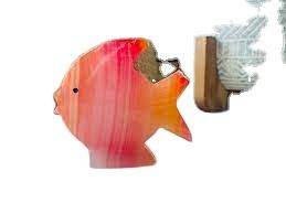 Poisson Onyx Arc-en-ciel Premium, Poisson Tropical Vivant pour Aquarium, Poisson Exotique Coloré pour la Décoration d'Aquarium Domestique - Product Image 2