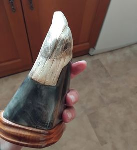 Cuerno Tradicional Diseñado para Decoración Cultural y Patrimonial, Pieza Decorativa de Cuerno Natural Pulido por Perfect Enterprises - Product Image 5