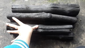ถ่านไม้กระถิน 100% ไม้เนื้อแข็ง จากเวียดนาม เป็นมิตรกับสิ่งแวดล้อม ติดไฟนาน ไร้กลิ่น ขนาด 3-8 ซม. - Product Image 3