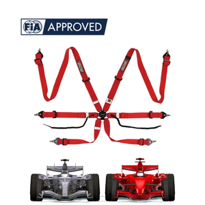 เข็มขัดนิรภัยสำหรับรถแข่ง TBRACING Sport Plus ได้รับการรับรองจาก FIA ผลิตตามสั่ง ขายส่งจากโรงงาน พร้อมห่วงจับ OEM ODM - Product Image 2