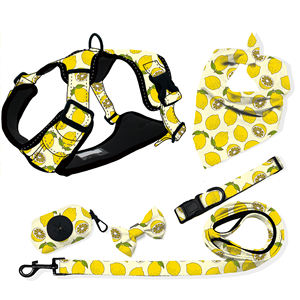 磁気リーシュカラーコットンロープ50フィート格納式ダイヤモンドカラーペットジュエリーxxsドッグハーネス、メタルバックル付き - Product Image 5